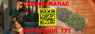 крисы Славгород