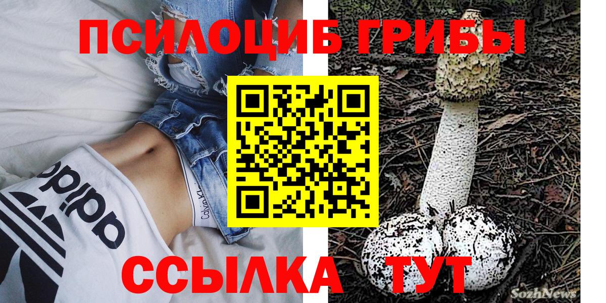 где купить наркоту  Вход с VPN  Набережные Челны  Галлюциногенные грибы GOLDEN TEACHER  Псилоцибиновые грибы прущие грибы 